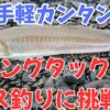 エギングタックルでキス釣り