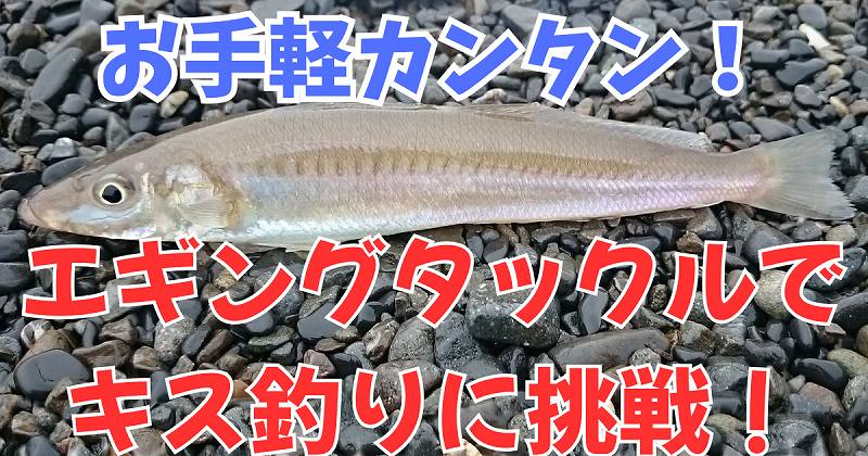 エギングタックルでキス釣りを始めよう！　リールもラインもそのままでOK！【仕掛けはこれで完璧】