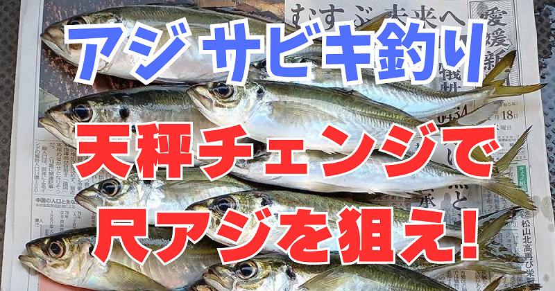 アジ天秤仕掛け