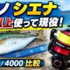 シエナ　アイキャッチ画像
