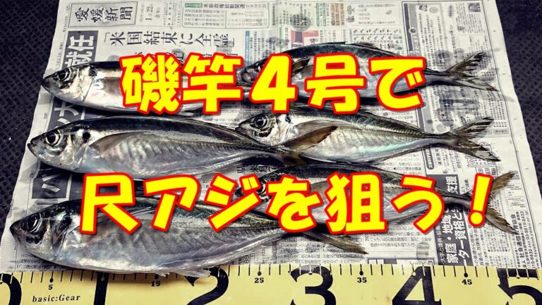 尺アジのパワーに負けない竿選び！投げサビキにシマノ「ホリデーイソ4号」をおすすめする理由とは？