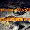月下美人メバルモデルic1