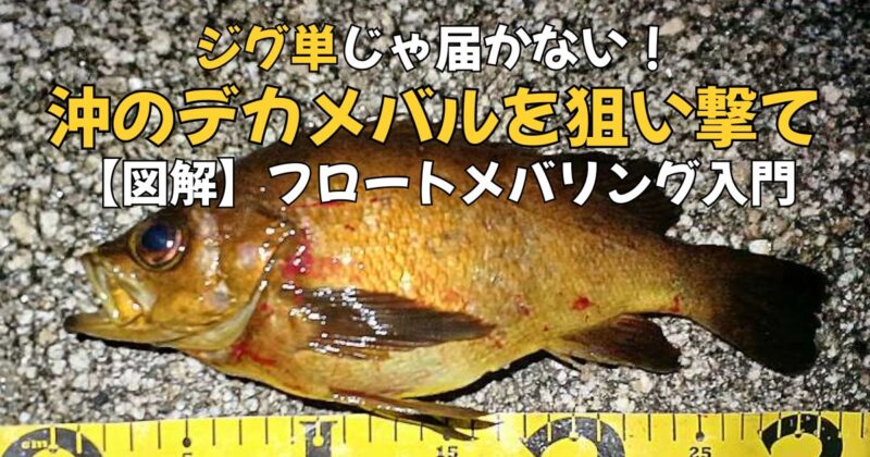 フロートメバリング解説