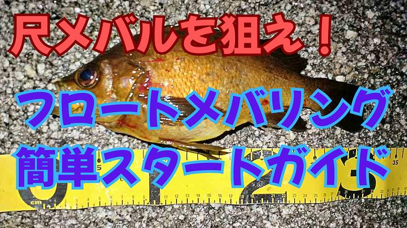 【初心者必見】フロートメバリング始め方ガイド! 良型メバルを釣るためのタックル選びと簡単な釣り方