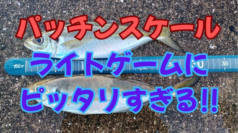 【レビュー】TICT「パッチンスケール」がアジング・メバリングに最適すぎる!