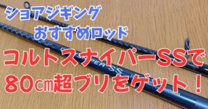 【シマノ】24コルトスナイパーSS S100MH 実釣レビュー】シマノ「24コルトスナイパーSS S100MH」で80cm超
