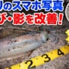 夜釣りスマホ写真_アイキャッチ