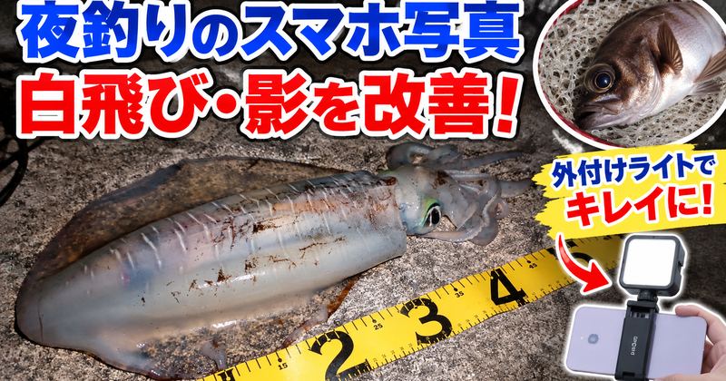 夜釣りスマホ写真_アイキャッチ