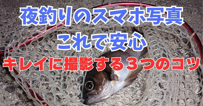 アイキャッチ画像