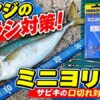 ミニヨリトリ　アイキャッチ画像