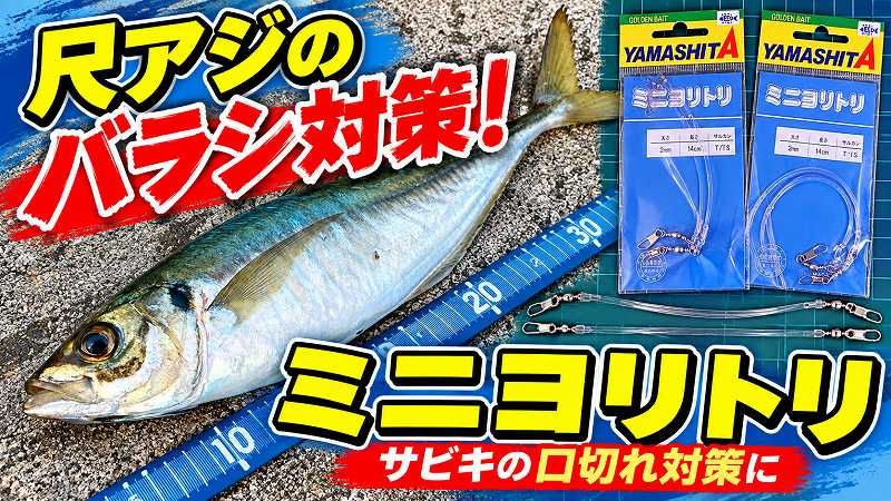 ミニヨリトリ　アイキャッチ画像