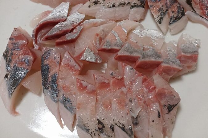 ３７㎝尺アジの刺し身