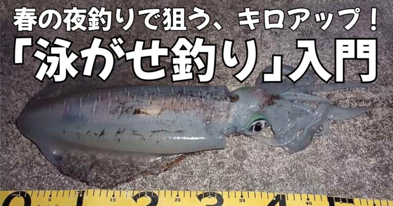泳がせ釣り入門