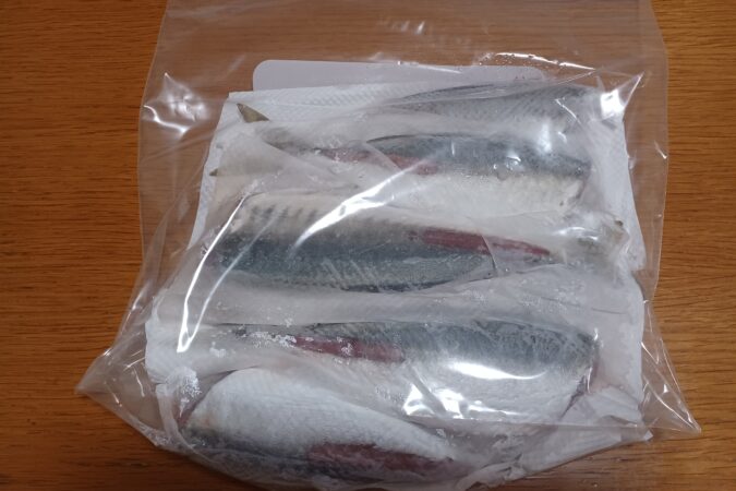 20㎝超アジの処理後