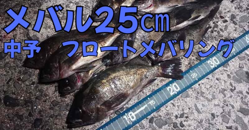 フロートメバリングの結果